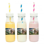 מדבקות מלבניות לעיצוב דינוזאורים